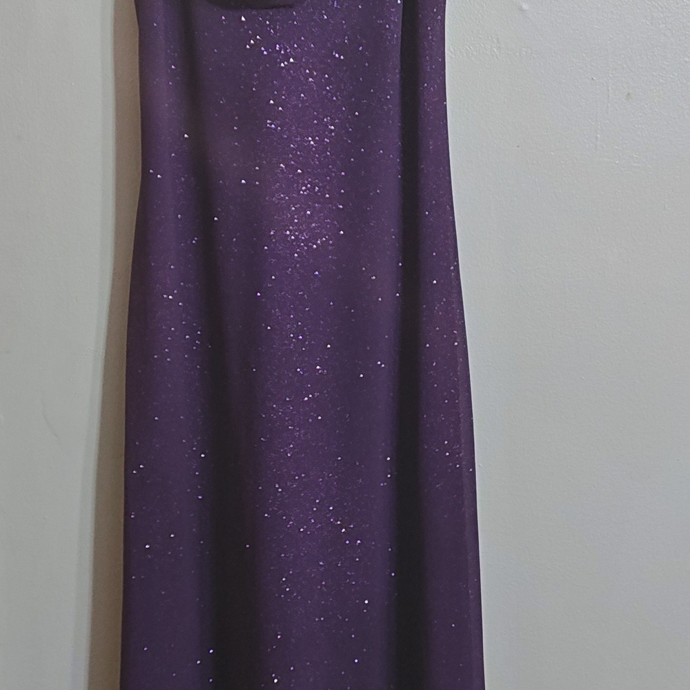 Elegant Purple Evening Dress